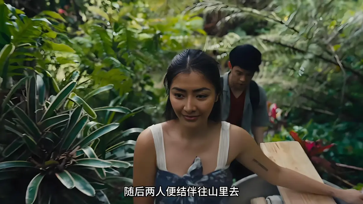 《迷情》相关资源图片