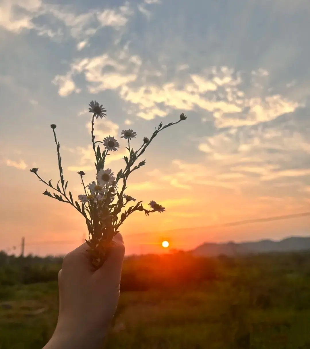 无资源名相关资源图片