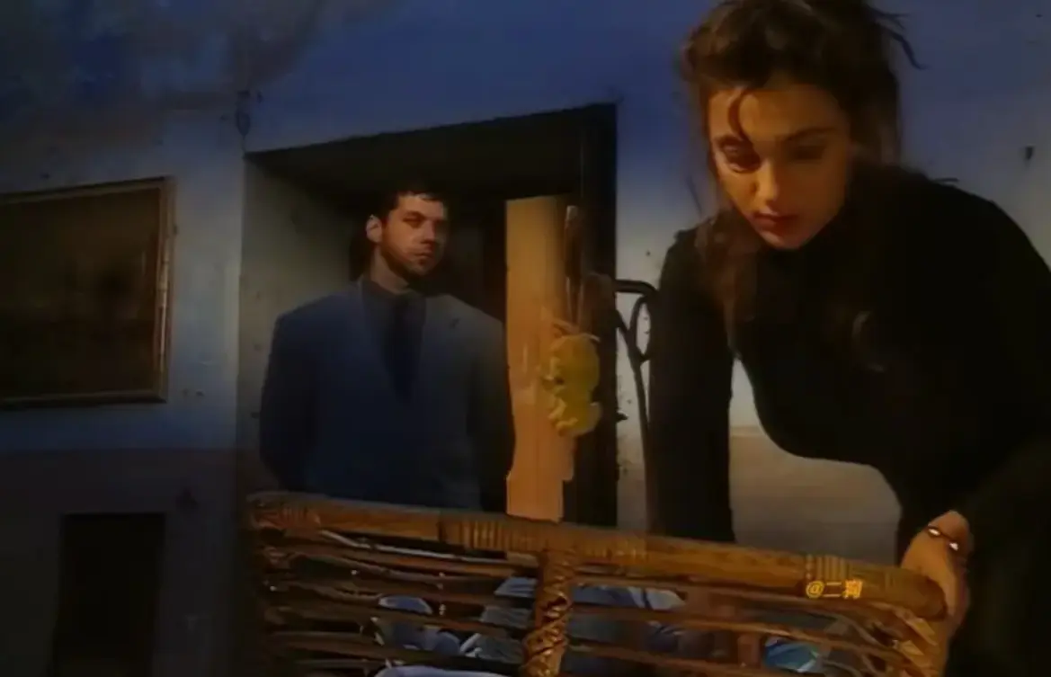 《Sceneggiata Napoletana（1994）》相关资源图片