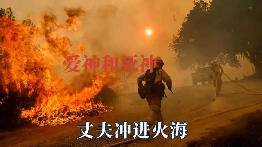 《爱神与死神》相关资源图片