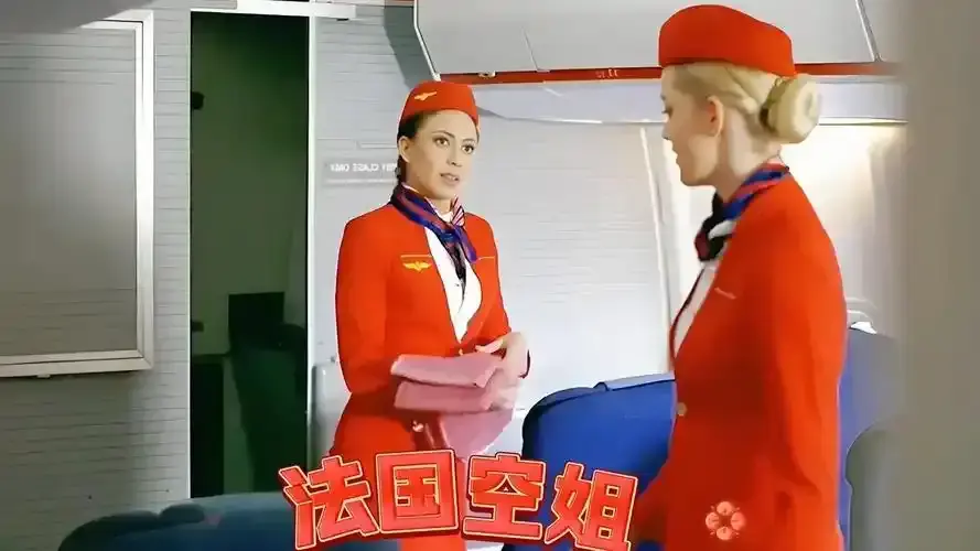 《法国空姐/不雅空乘》