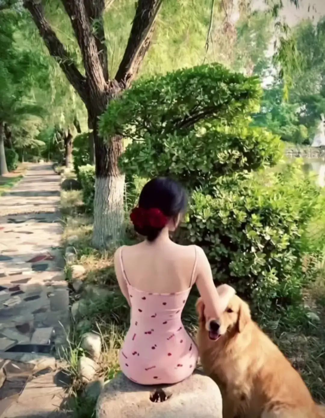 《香香公主与金毛爱犬高能瞬间》