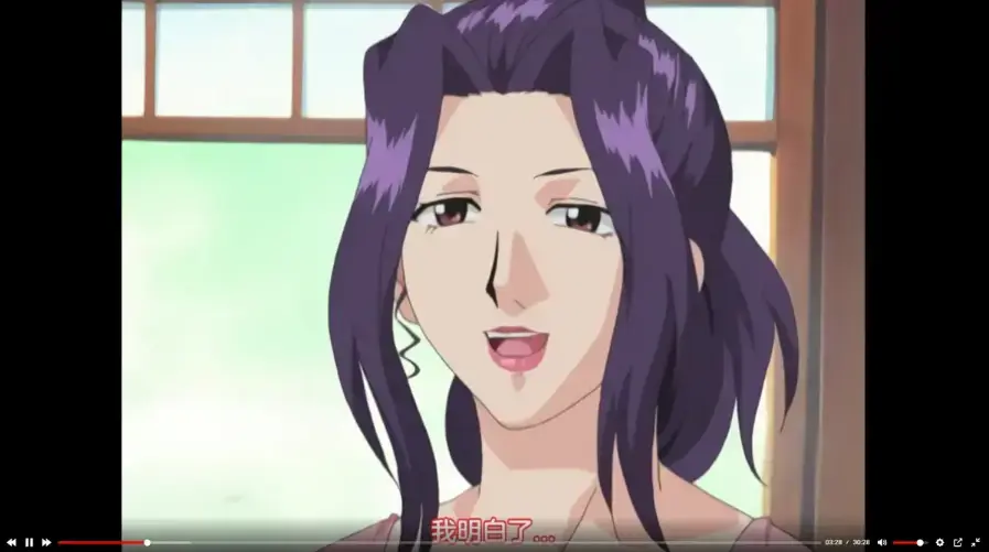 《高嫁柳家》