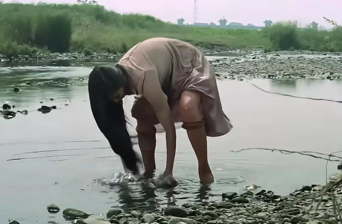 《芦苇地狱》相关资源图片