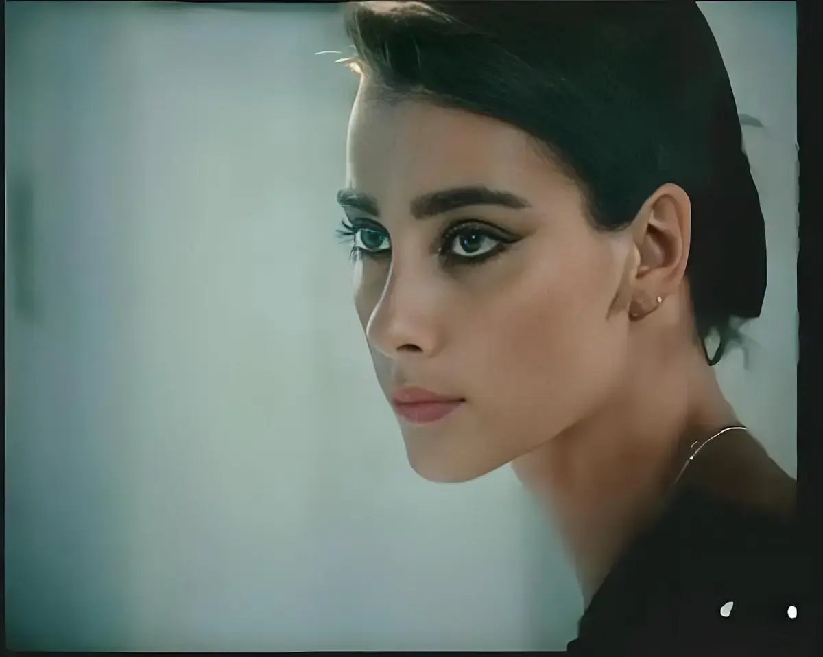 《激情丛林》相关资源图片