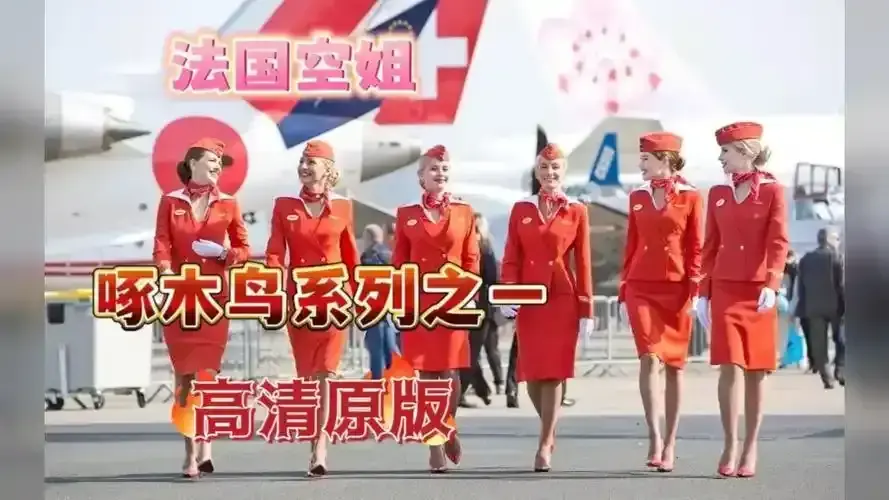 《法国空姐2》《法国空姐/法国航空》相关资源图片