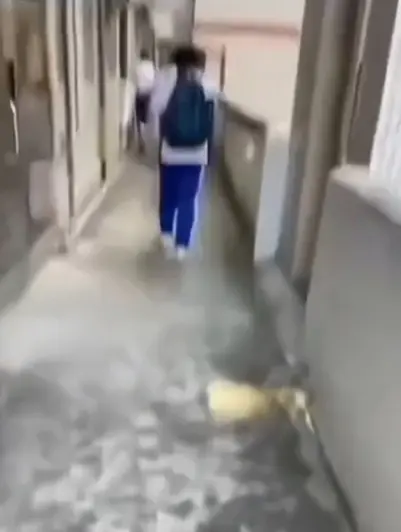 《大昌市第七中学》 《大昌七中女鬼事件》