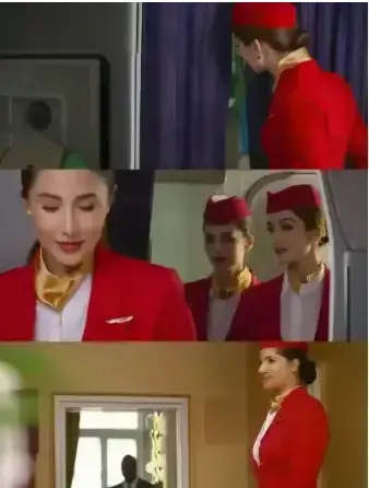 《私人航空/法国航空》