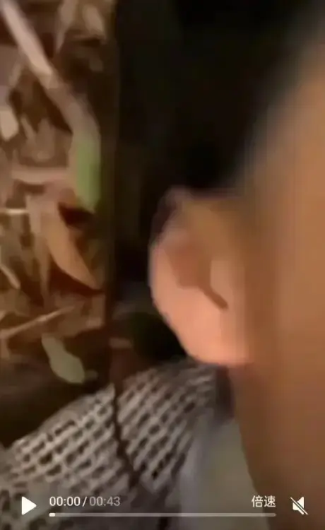 《轻奢二人组事件视频》